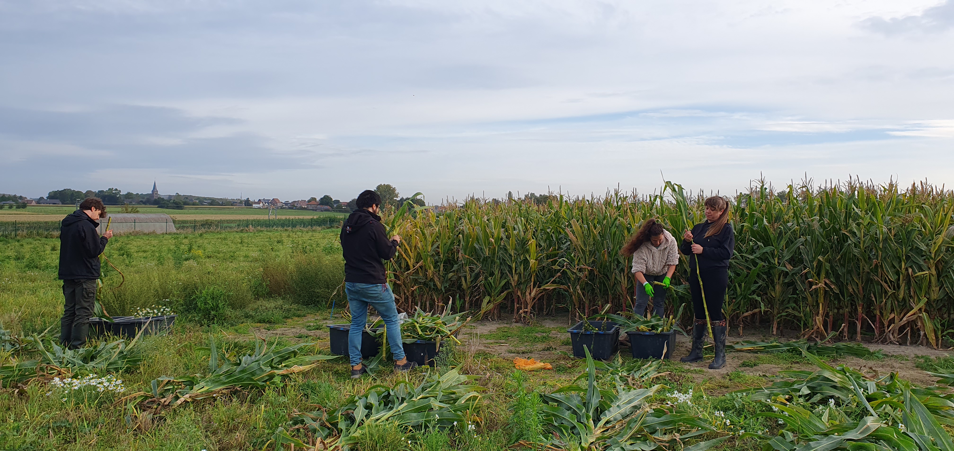 Field trial competence of our team